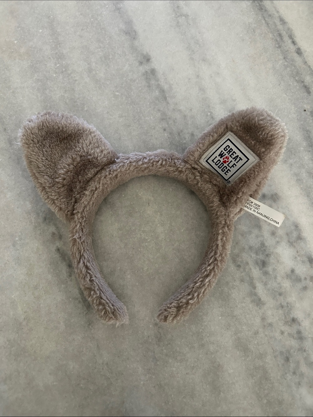 Great Wolf Lodge Kid Ears